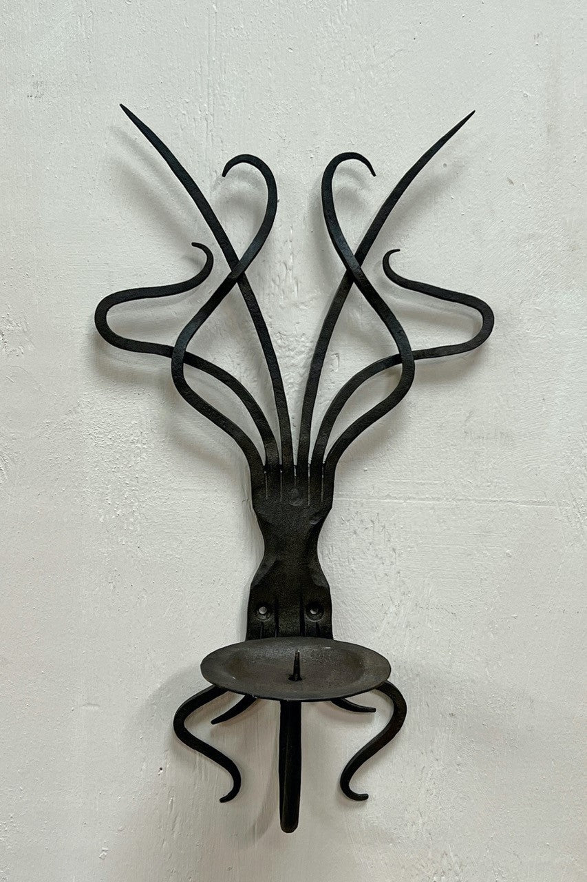 Fluid forms wall sconce