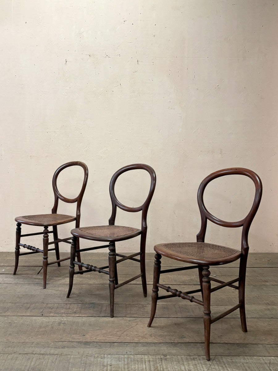 Cane seat occasional chairs (each) (Reserved)