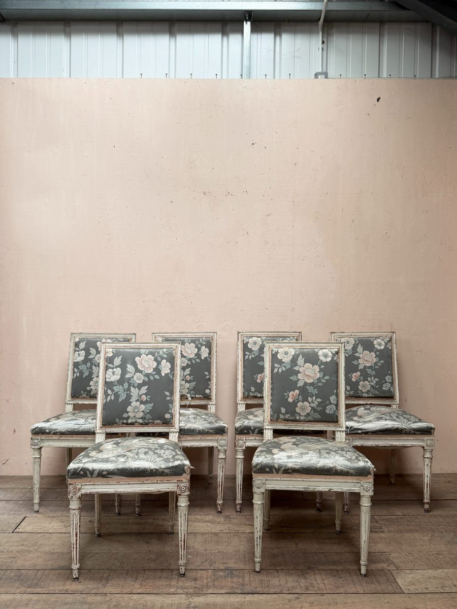 Set of 6 Louis XVI dining chairs