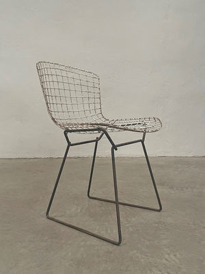 Pair of  side chairs by Harry Bertoia