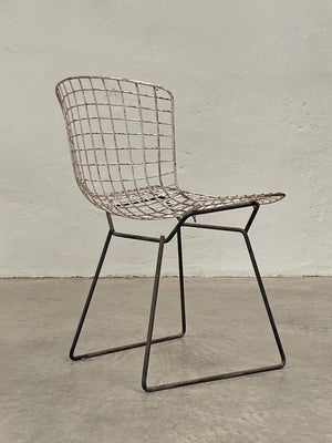 Pair of  side chairs by Harry Bertoia