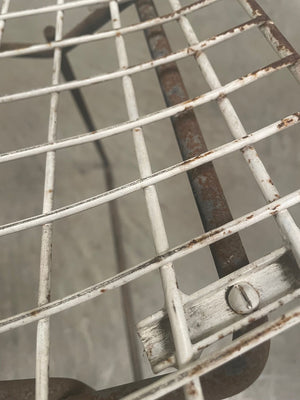 Pair of  side chairs by Harry Bertoia