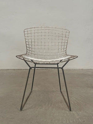 Pair of  side chairs by Harry Bertoia