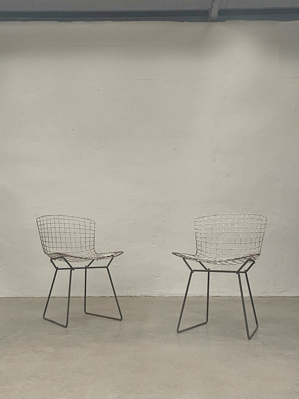 Pair of  side chairs by Harry Bertoia