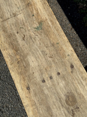 3 meter poplar bench