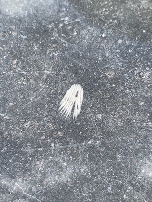 Art Deco bistro table base 'as is'