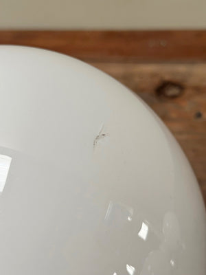Glass globe shades (from)