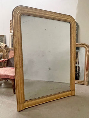 Pretty water gilded mirror