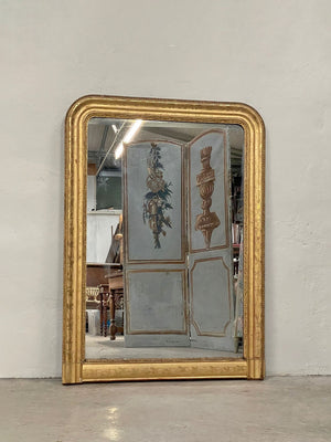 Pretty water gilded mirror