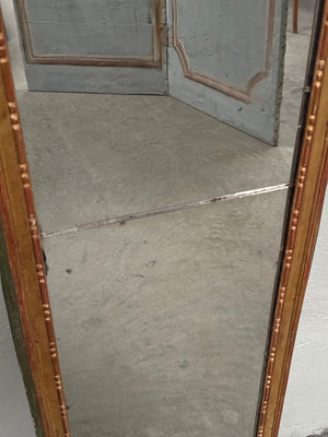 Slim painted mirror with crest