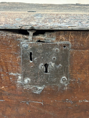 Early trunk