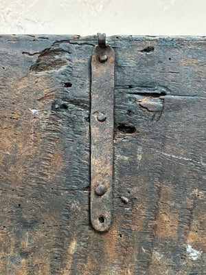 Early trunk