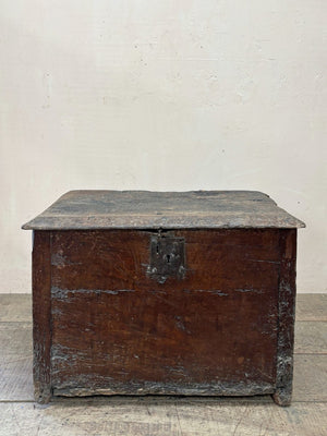 Early trunk