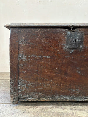 Early trunk