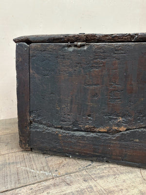 Early trunk