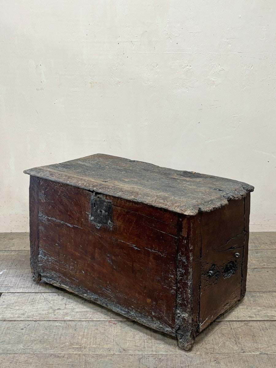 Early trunk