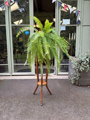 Louis XV style plant stand