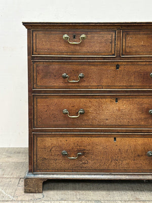 Oak and walnut chest of drawers