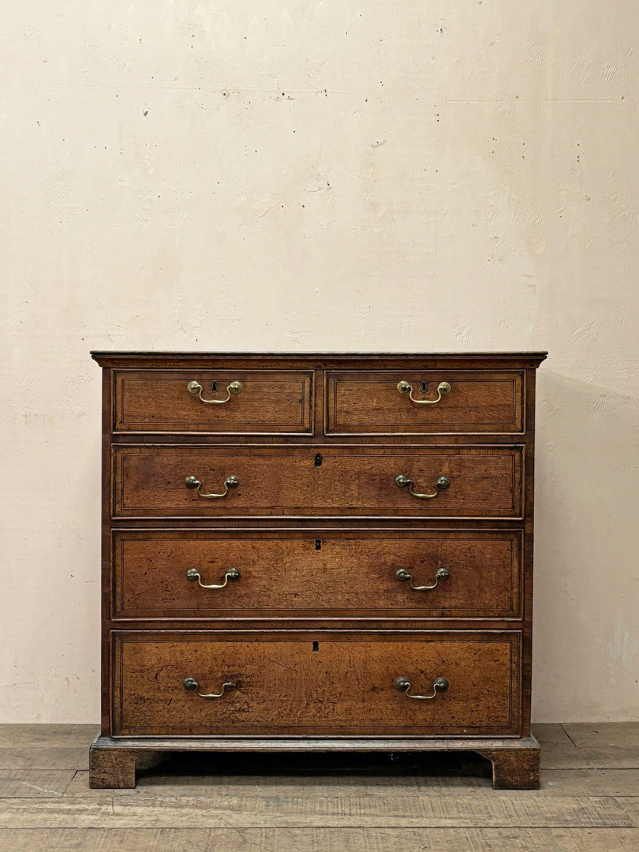 Oak and walnut chest of drawers