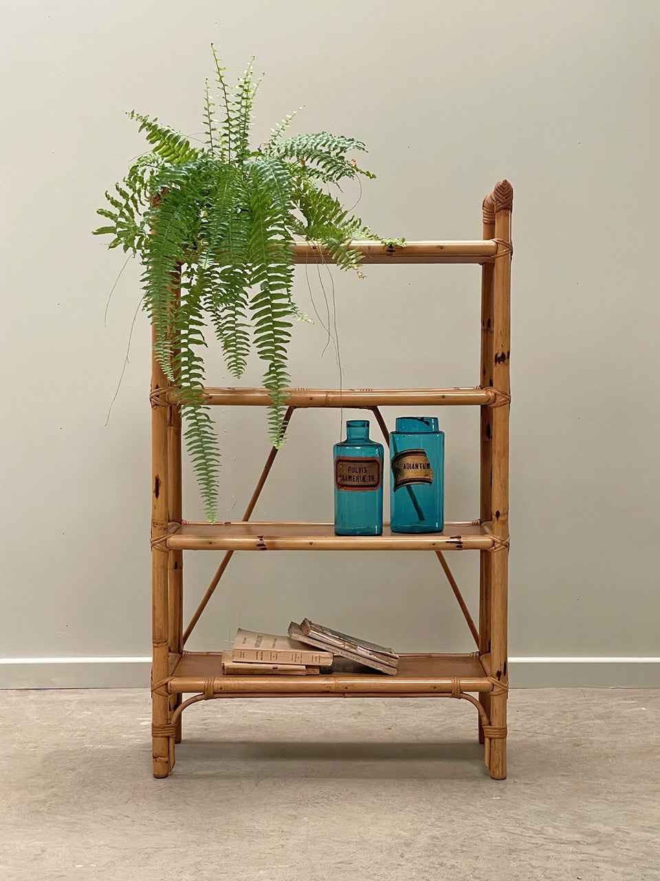 Cane bookshelf