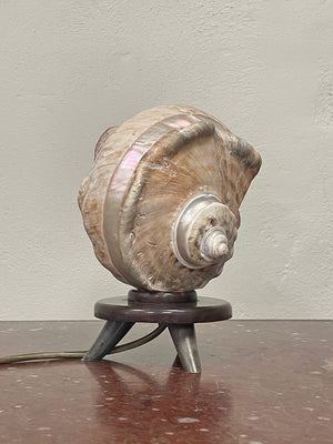 Shell table lamp