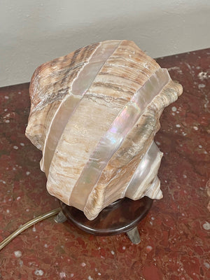 Shell table lamp