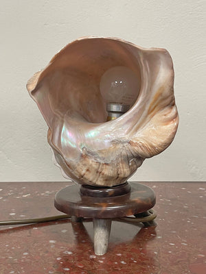 Shell table lamp