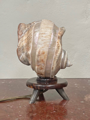 Shell table lamp