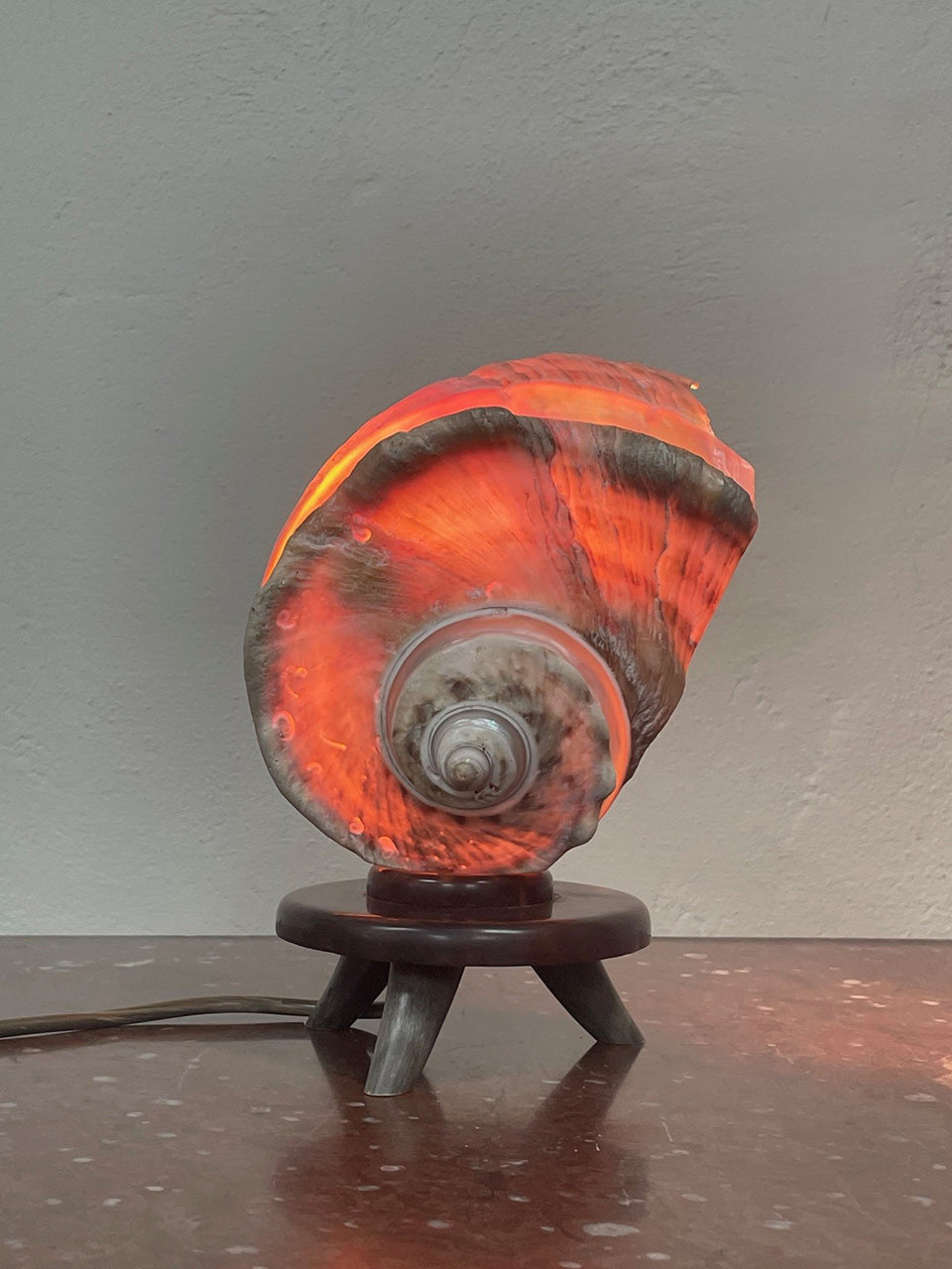 Shell table lamp