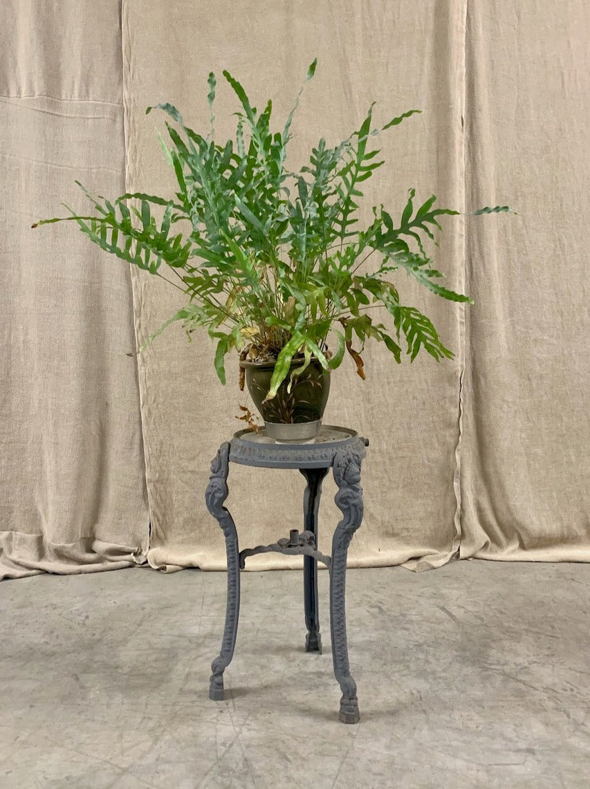 Cast iron plant stand