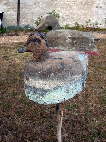 Decoy ducks - 1 red available