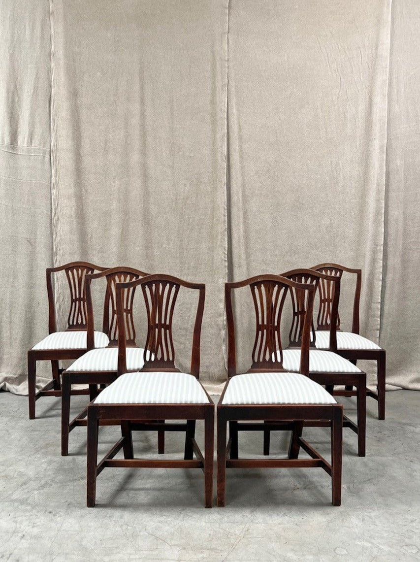 Set 6 Georgian dining chairs