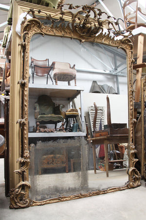 Very large crested mirror